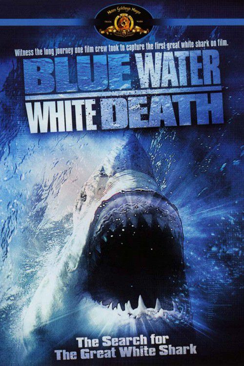 10 bộ phim về cá mập cực hay, mọt đã xem chưa? (1)