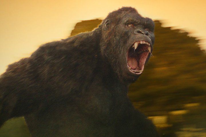 Hot: King Kong Skull Island sẽ cho ra mắt bản truyền hình (2)