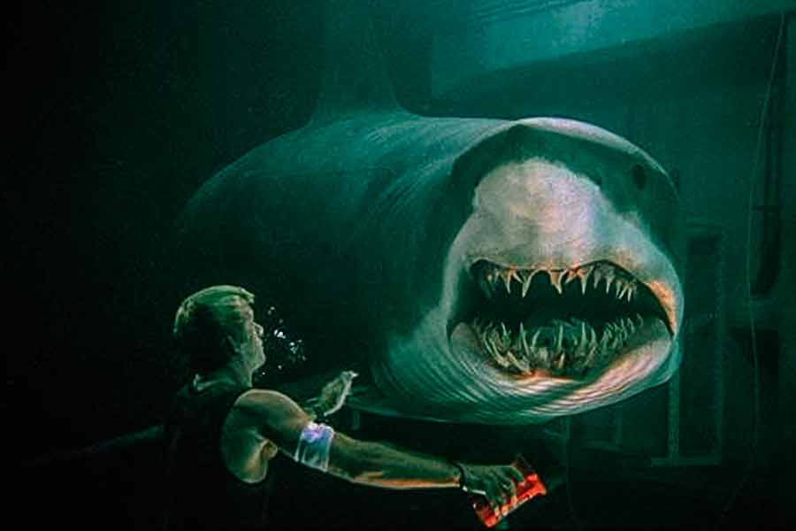 Top 6 phim về cá mập khiến khán giả phải rùng mình- 3